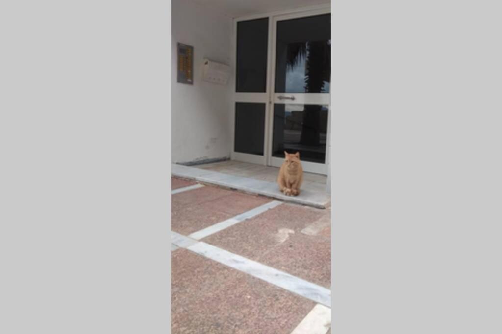Captain'S Home Loutraki Luaran gambar